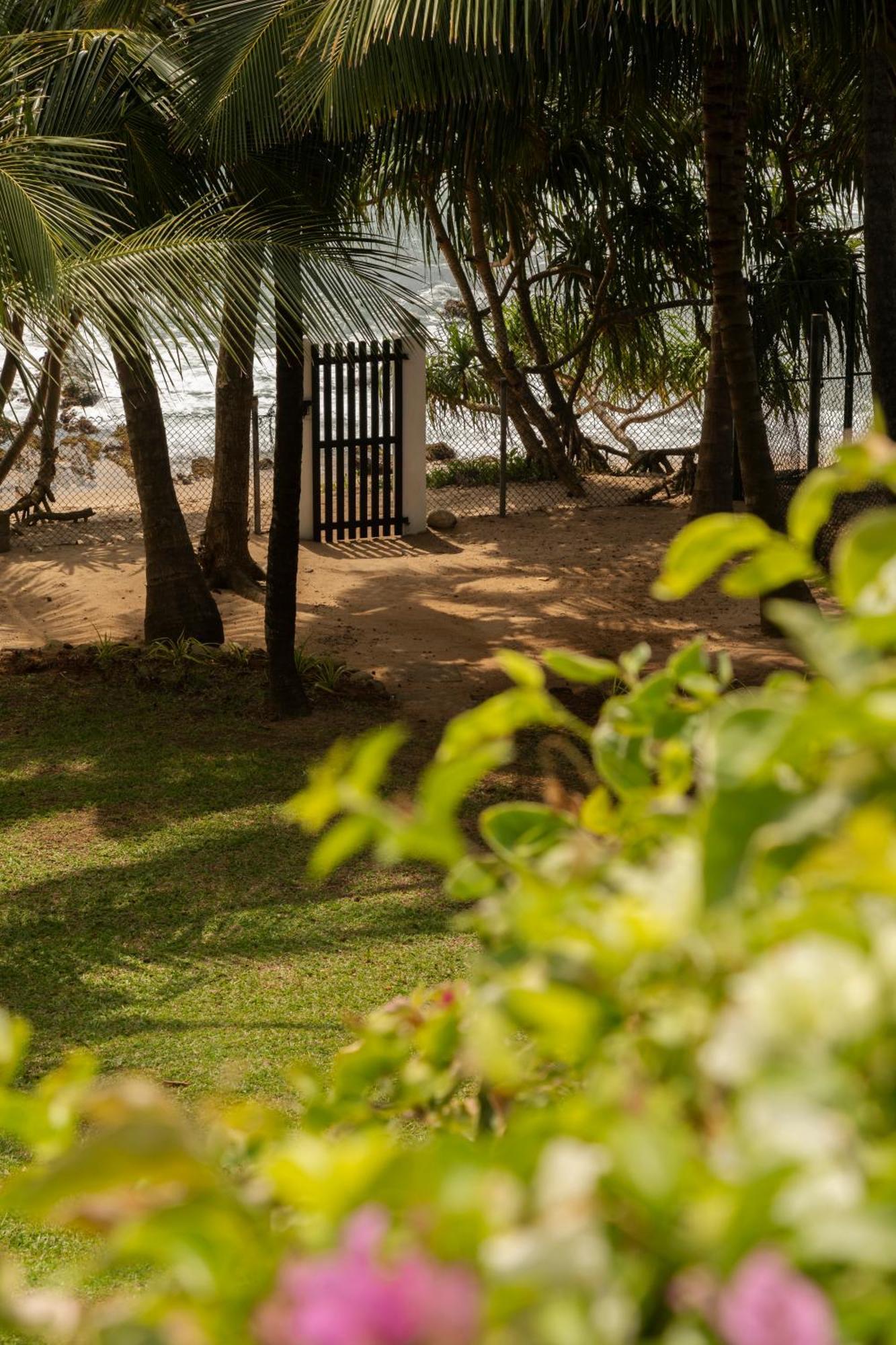 Coco Tangalla Tangalle Exterior foto